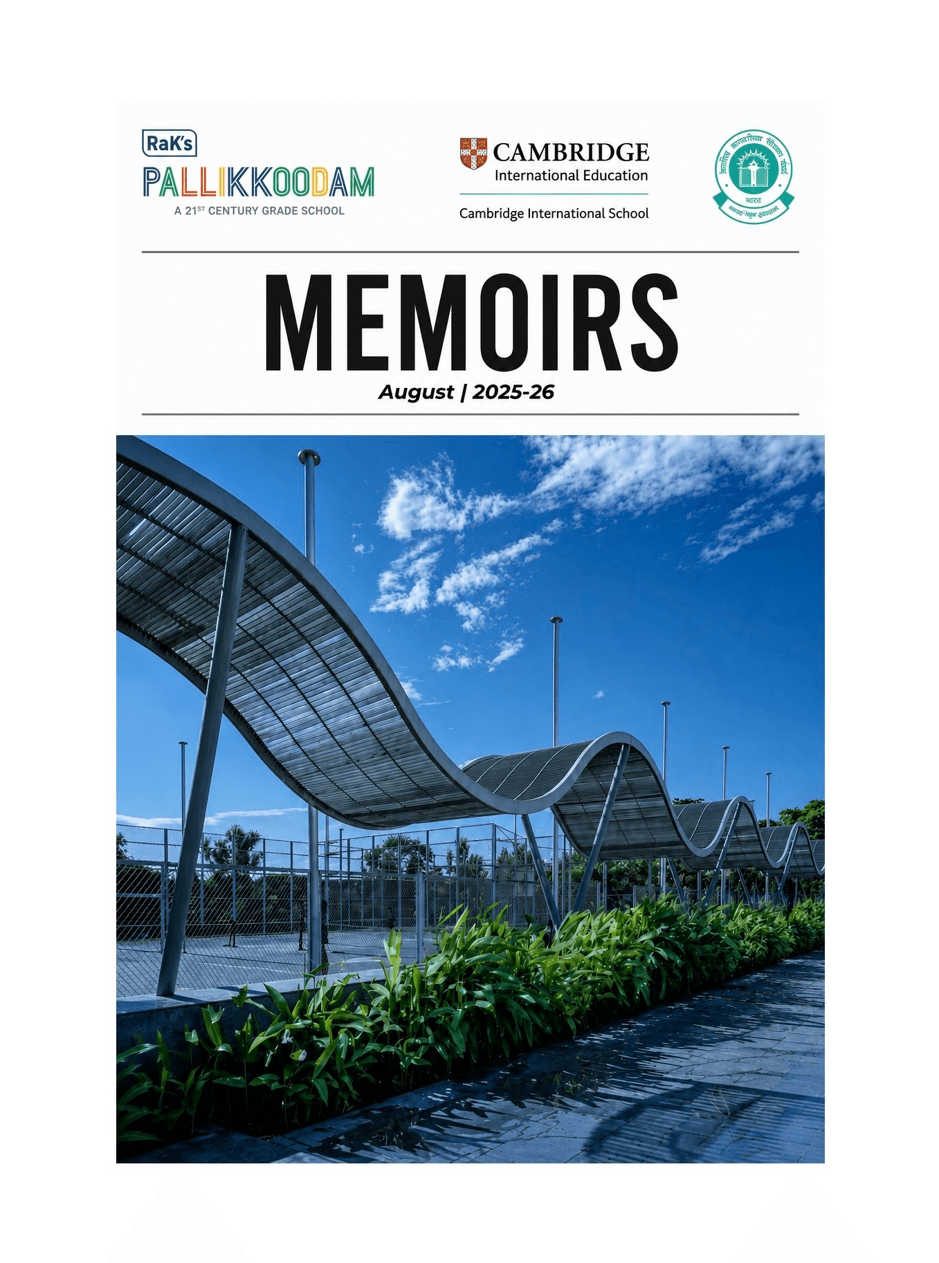 Newsletter & Blogs