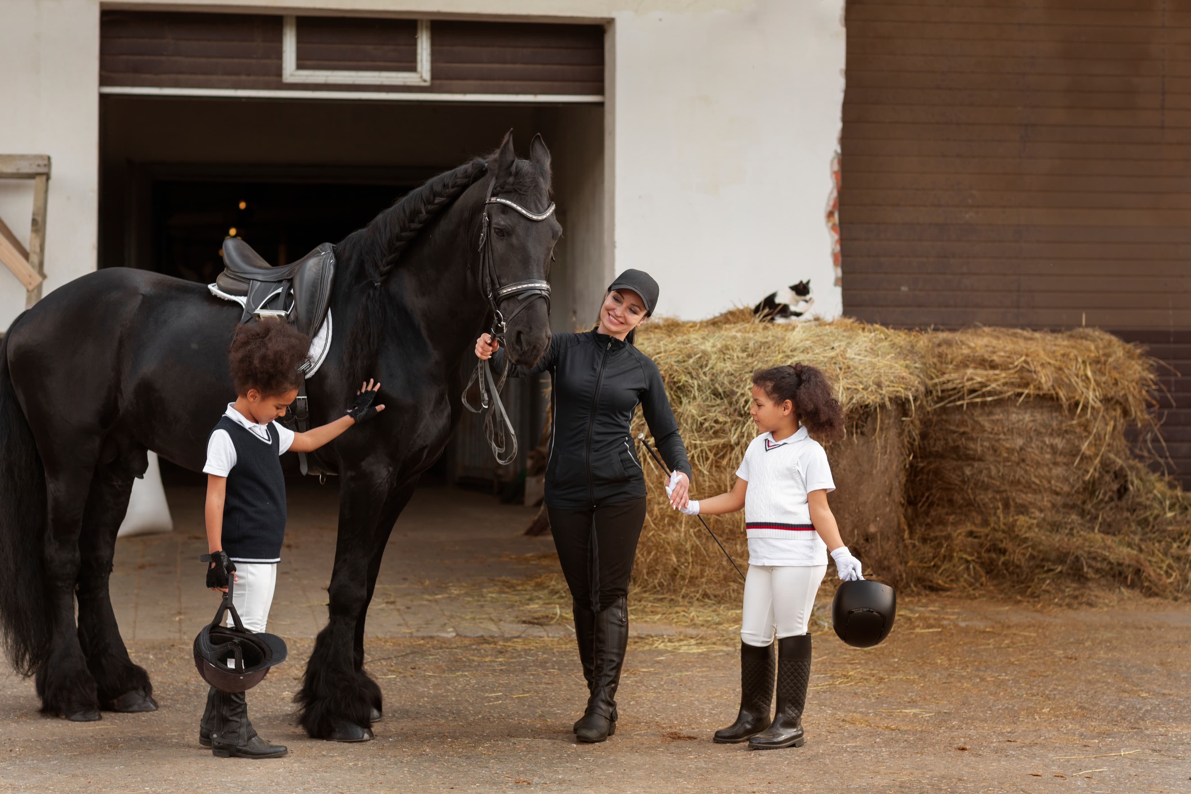 Equestrian
